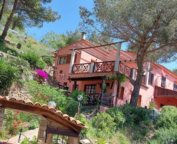 Villetta Dei Fichi D'India Rio dellʼElba Exteriör bild