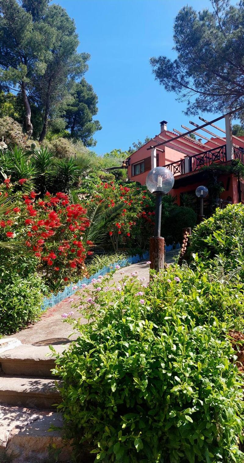 Villetta Dei Fichi D'India Rio dellʼElba Exteriör bild
